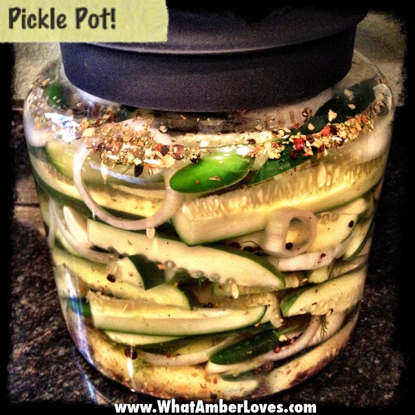 WhatAmberLoves_PicklePot