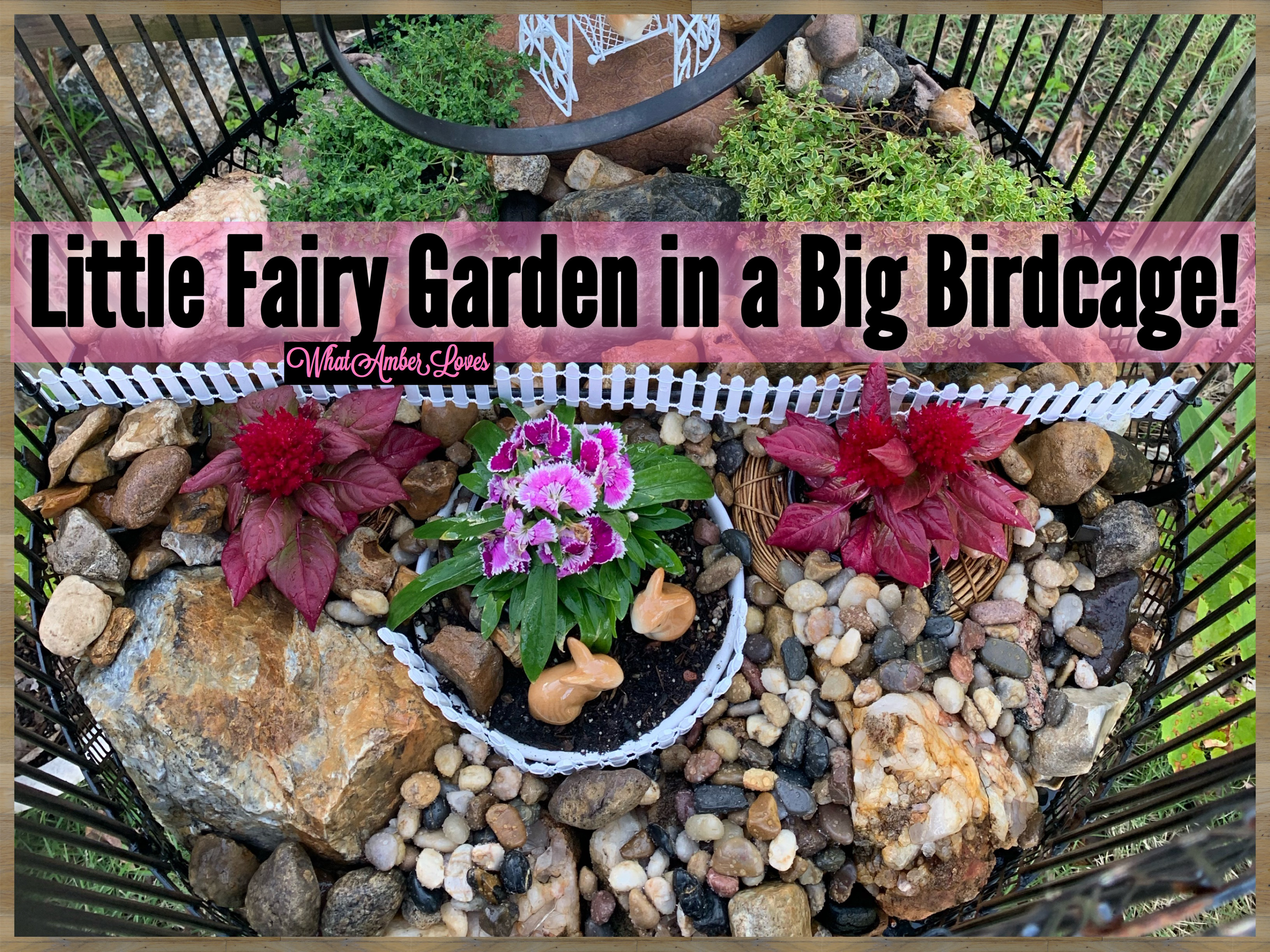 FairyGarden_WhatAmberLoves_0